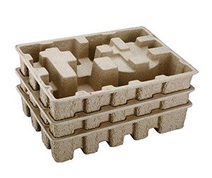 纸塑草莓视频在线看